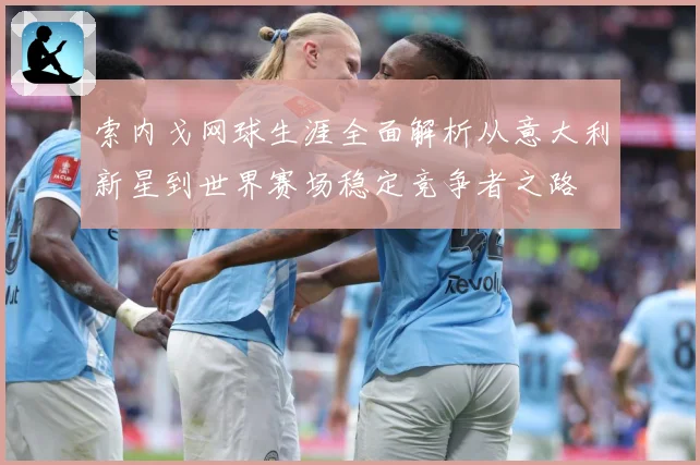 索内戈网球生涯全面解析从意大利新星到世界赛场稳定竞争者之路